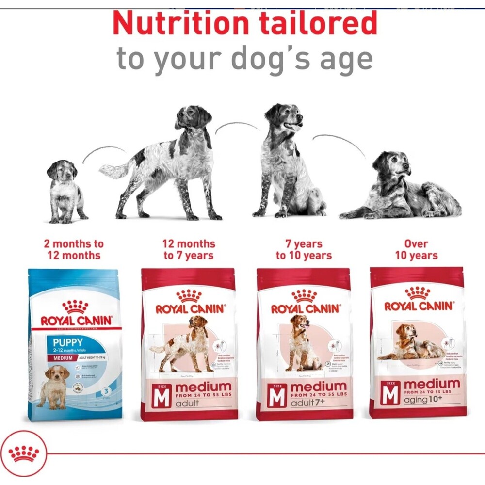 8 lbs. Royal Canin Size Health Nutrition Medium Adult Dry Dog Food, Authentic - Picture 8 of 9